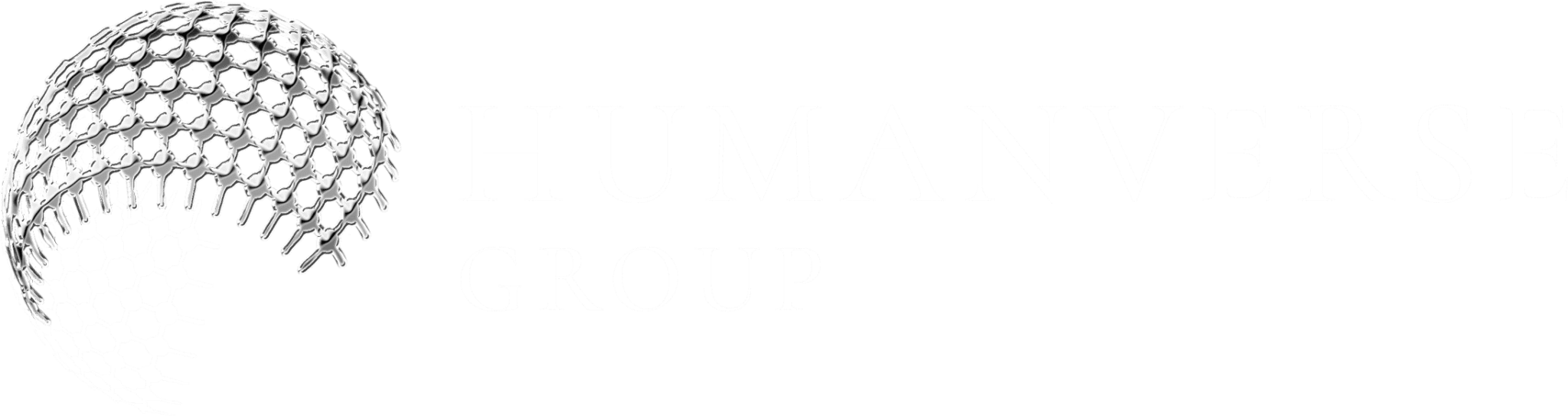 Humanverse Silver Logo Black